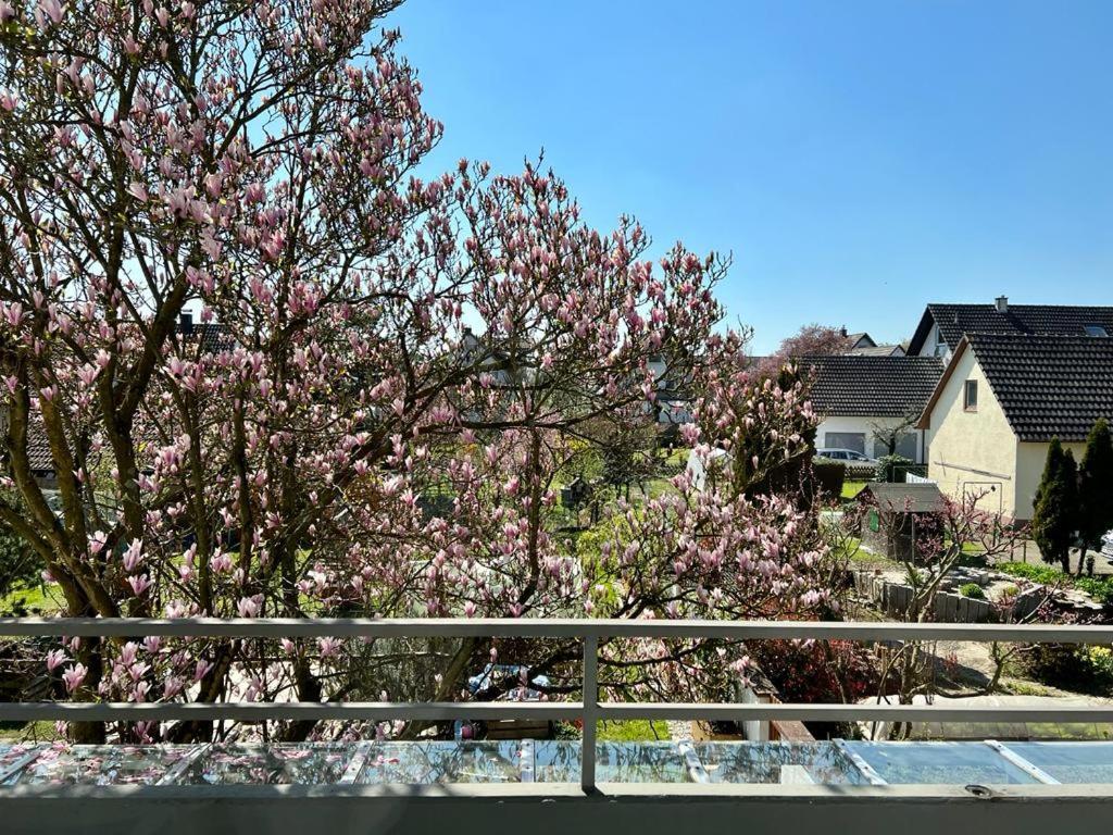 Ferienwohnungen Verma Schwanau Exterior foto